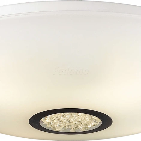 Потолочный светильник Favourite Funken 1694-4C