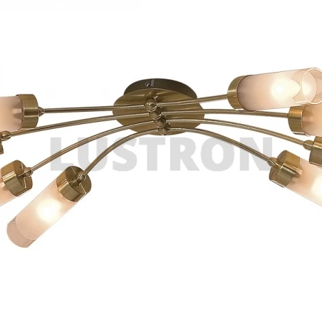 Потолочная люстра Citilux Ovale CL102182