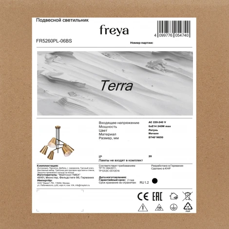 Потолочная люстра на штанге Freya Terra FR5260PL-06BS