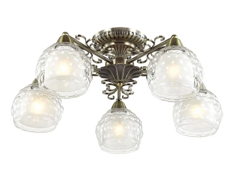 Потолочная люстра Lumion Ampolla 3106/5C