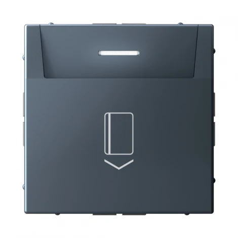 Выключатель карточный (грифель) Systeme Electric GAL000714S