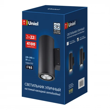 Архитектурная подсветка 6400K Uniel ULU-S22D-2x22W/6400K IP65 BLACK