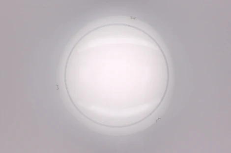 Настенно-потолочный светильник Citilux 917 CL917081