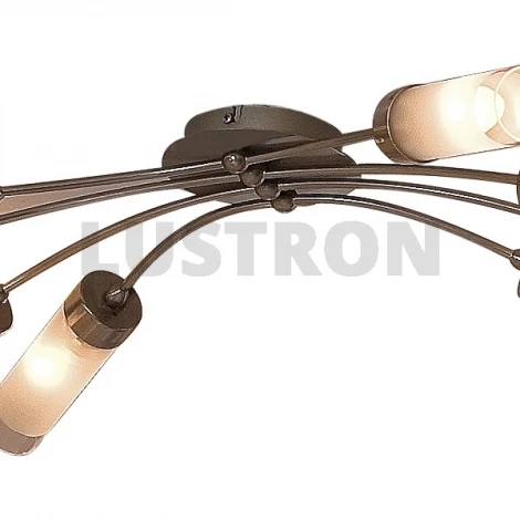 Потолочная люстра Citilux Ovale CL102181