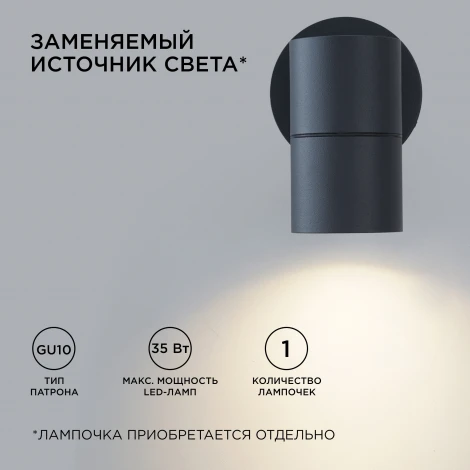 Настенный светильник уличный 1х35Вт графит, алюминий Apeyron 11-116