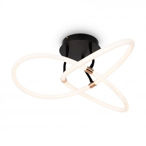 Потолочная люстра светодиодная Freya Fancy FR6059CL-L35B