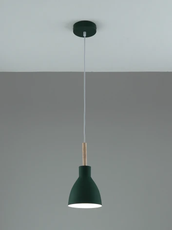 Подвесной светильник Moderli Toni V11805-1P