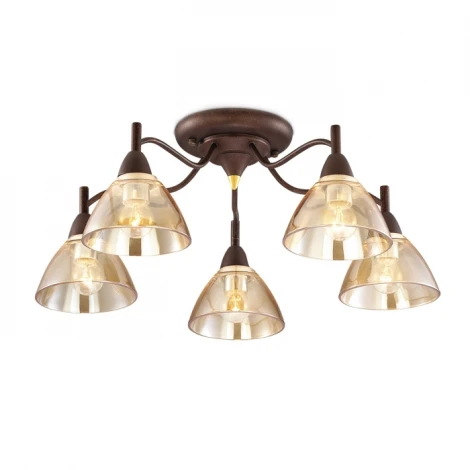 Потолочная люстра Odeon Light Treves 2625/5C