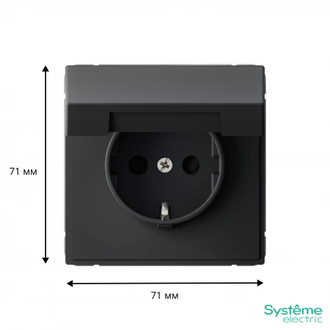Розетка с заземлением, шторками и крышкой (карбон) Systeme Electric GAL001046S