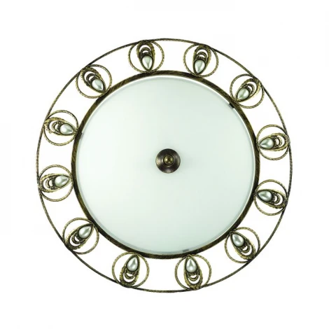 Настенно-потолочный светильник Odeon Light Kanti 3484/2C