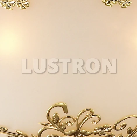Потолочный светильник Odeon Light Alesia 2676/7C