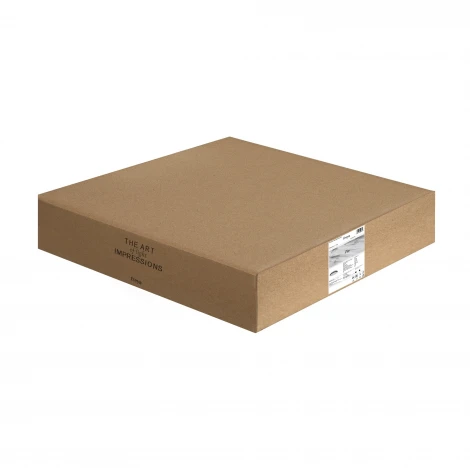 Потолочный светильник светодиодный Freya Pie FR6086CL-L117B 96Вт LED с пультом ДУ