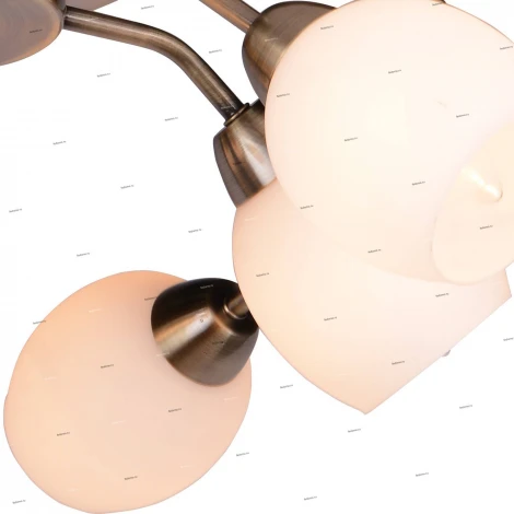 Потолочная люстра Arte Lamp Silvana A4033PL-6AB