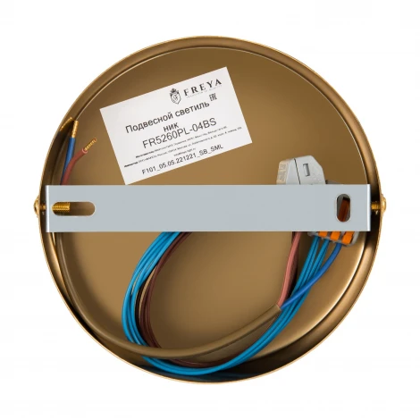 Потолочная люстра на штанге Freya Terra FR5260PL-04BS