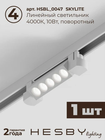 Трековая система в сборе однофазная встраиваемая 220V 58W Hesby Lighting Skylite №10 HSBL_kompl_S010_VI2W4K