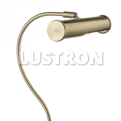 Интерьерная настольная лампа Arte Lamp Picture Lights Basic A5023LT-1AB