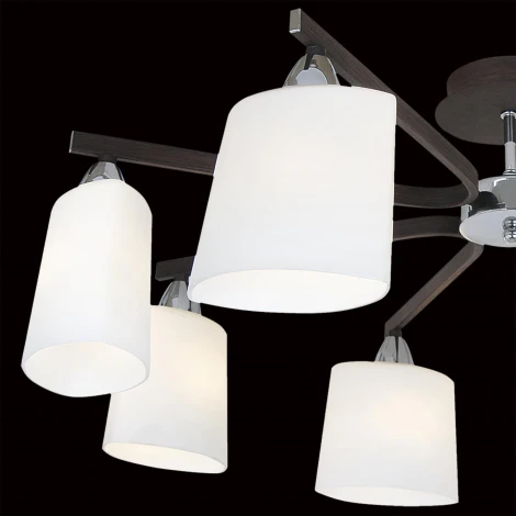Потолочная люстра Citilux Astra CL138181