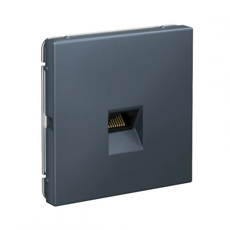 Розетка Ethernet RJ-45 (грифель) Systeme Electric GAL000783