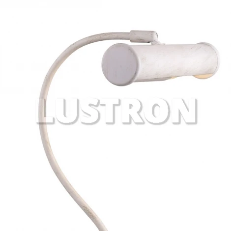 Интерьерная настольная лампа Arte Lamp Picture Lights Basic A5023LT-1WG