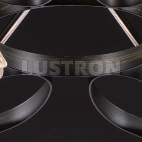 Потолочная люстра Maytoni Eurosize 9 TOC009-08-N
