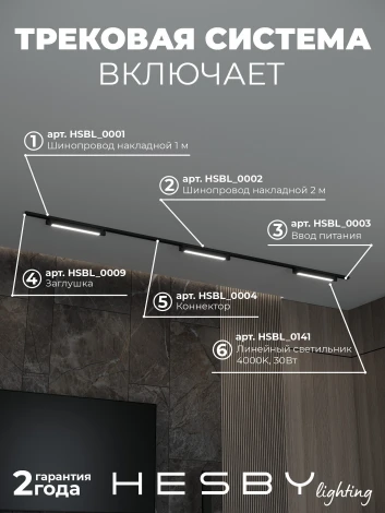 Трековая система в сборе встраиваемая однофазная 220V Hesby Lighting №1 однофазная накладная Skylite HSBL_kompl_S001_NI3B4K