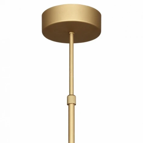 Потолочная люстра F-Promo Salvator 2501-6P