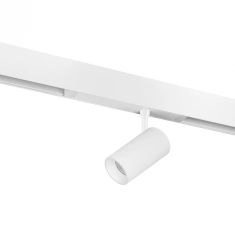 Трековый светильник однофазный светодиодный 220V 20W 24G 3000/4000/6000K Lightstar Teta CCT 205036CCT