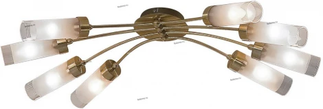 Потолочная люстра Citilux Ovale CL102182