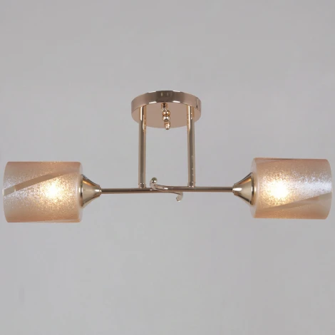 Подвесная люстра на штанге Reluce 51460-0.3-02 FG