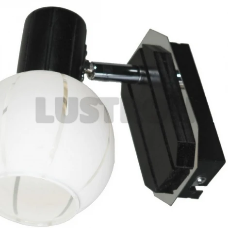 Спот Lussole Mara LSL-8901-01