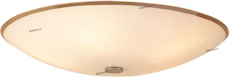 Потолочный светильник Citilux CL911 CL911501