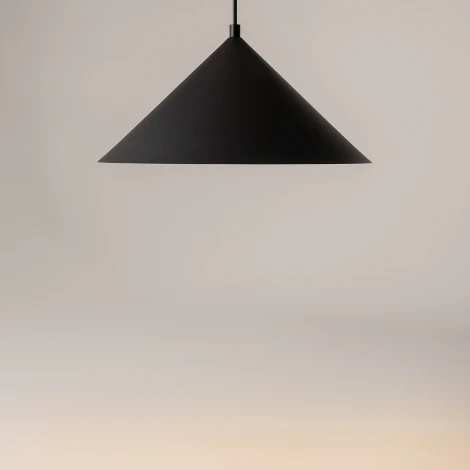 Подвесной светильник Maytoni Basic colors MOD167PL-01B (220V, на проводе)