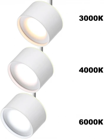 Трековый светильник Novotech Giro 358973 (LED, 220V, круглые)