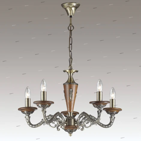 Подвесная люстра Odeon Light Damiana 3221/5
