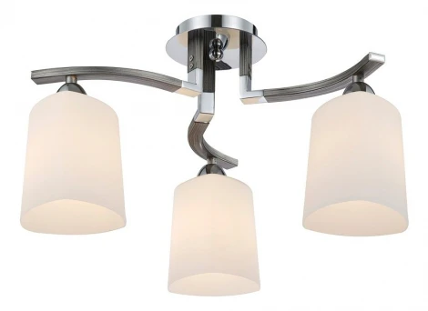 Потолочная люстра Maytoni Eurosize 1 MOD131-CL-03-N