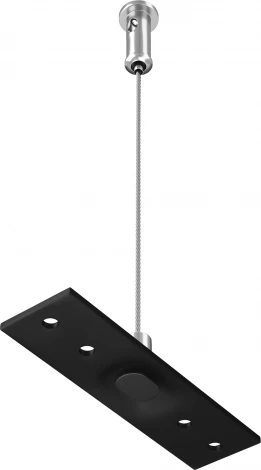 Подвес тросовый 2шт Exility черный (магнитный) Maytoni Technical TRA034SW-2B