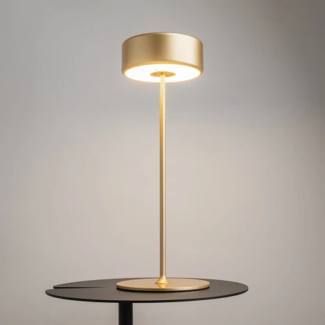 Настольная лампа с аккумулятором Maytoni AI Collaboration MOD229TL-L3G3K2 (регулировка яркости, LED, 220V, выключатель, круглые)