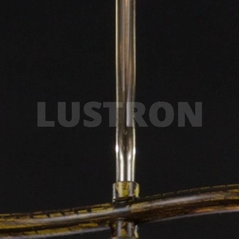 Потолочная люстра Maytoni Eurosize 8 TOC008-05-R