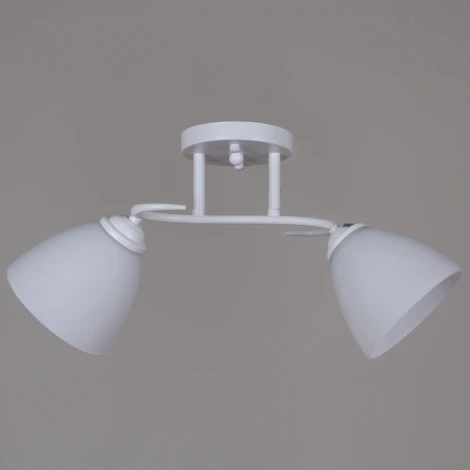 Потолочная люстра на штанге Reluce 44560-0.3-02 WH