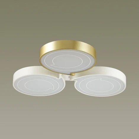 Потолочная люстра Lumion Dilip 3646/60CL