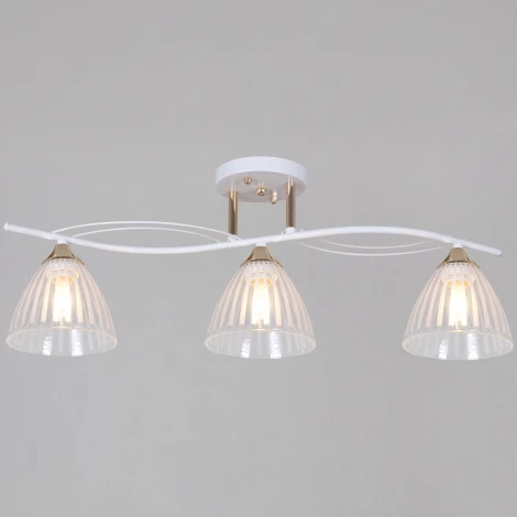 Потолочная люстра на штанге Reluce 73460-0.3-03 WH+FG