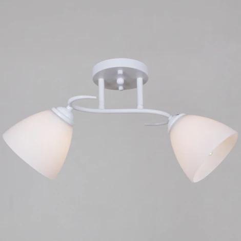 Потолочная люстра на штанге Reluce 44560-0.3-02 WH