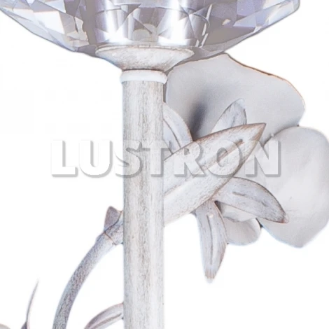 Подвесная люстра Arte Lamp Estimate A2036LM-5WG