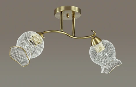 Потолочная люстра Lumion Rozetta 3109/2C