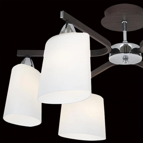 Потолочная люстра Citilux Astra CL138161