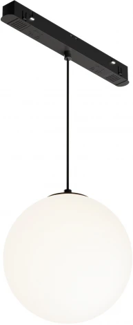 Трековый подвесной светильник Luna Exility 4000K 5Вт 360° LED (магнитный) Maytoni Technical TR039-2-5W4K (48V, шар)