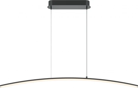 Подвесной светильник Maytoni Light Reflection MOD243PL-L18BK (LED, 220V, на проводе)