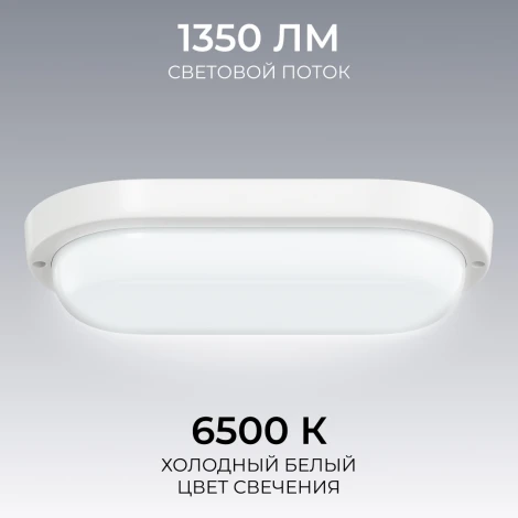 Настенно-потолочный светильник светодиодный герметичный 18Вт 1350лм 6500К IP65 овал, белый OGM О28-12