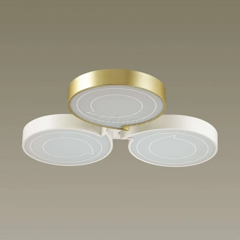 Потолочная люстра Lumion Dilip 3646/60CL