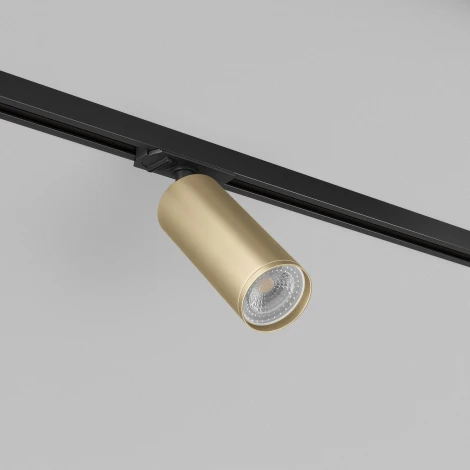Трековый светильник Denkirs Tube DK6202-BG (220V)